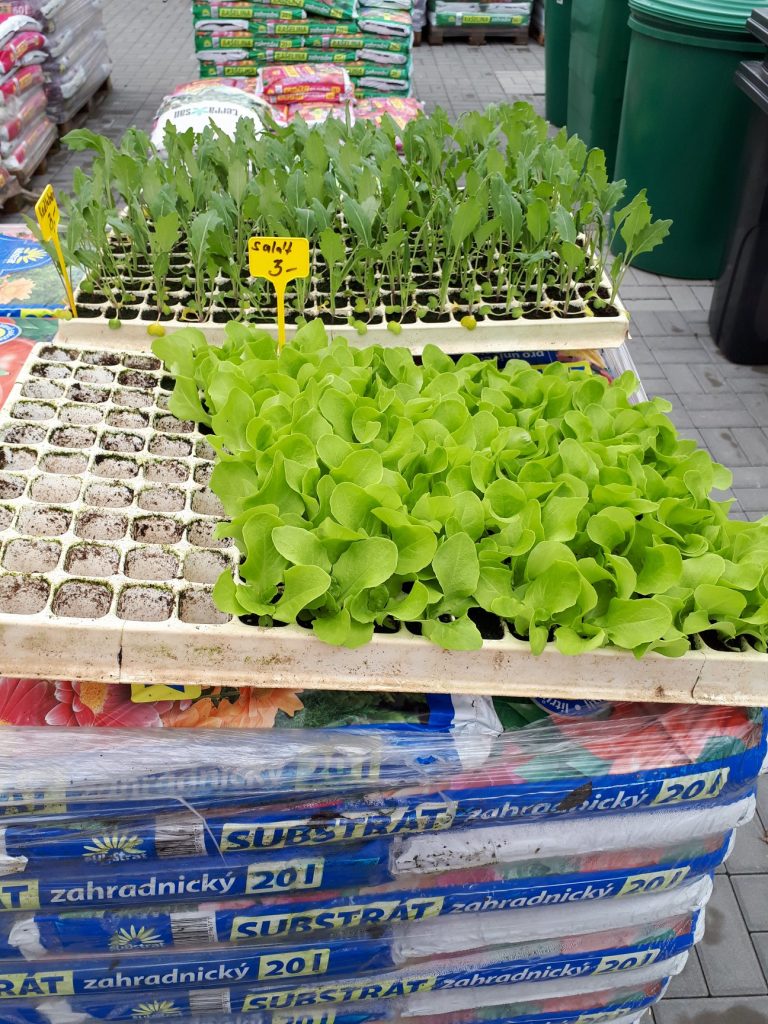 Prodejna stavebnin - sazenice