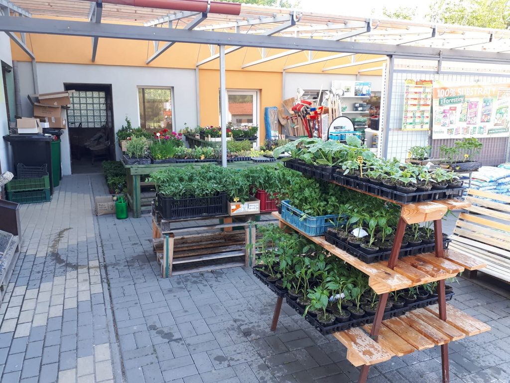 Prodejna stavebnin - sazenice